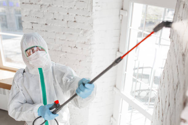 Best Forensic Mold Investigation  in Perrysburg, OH